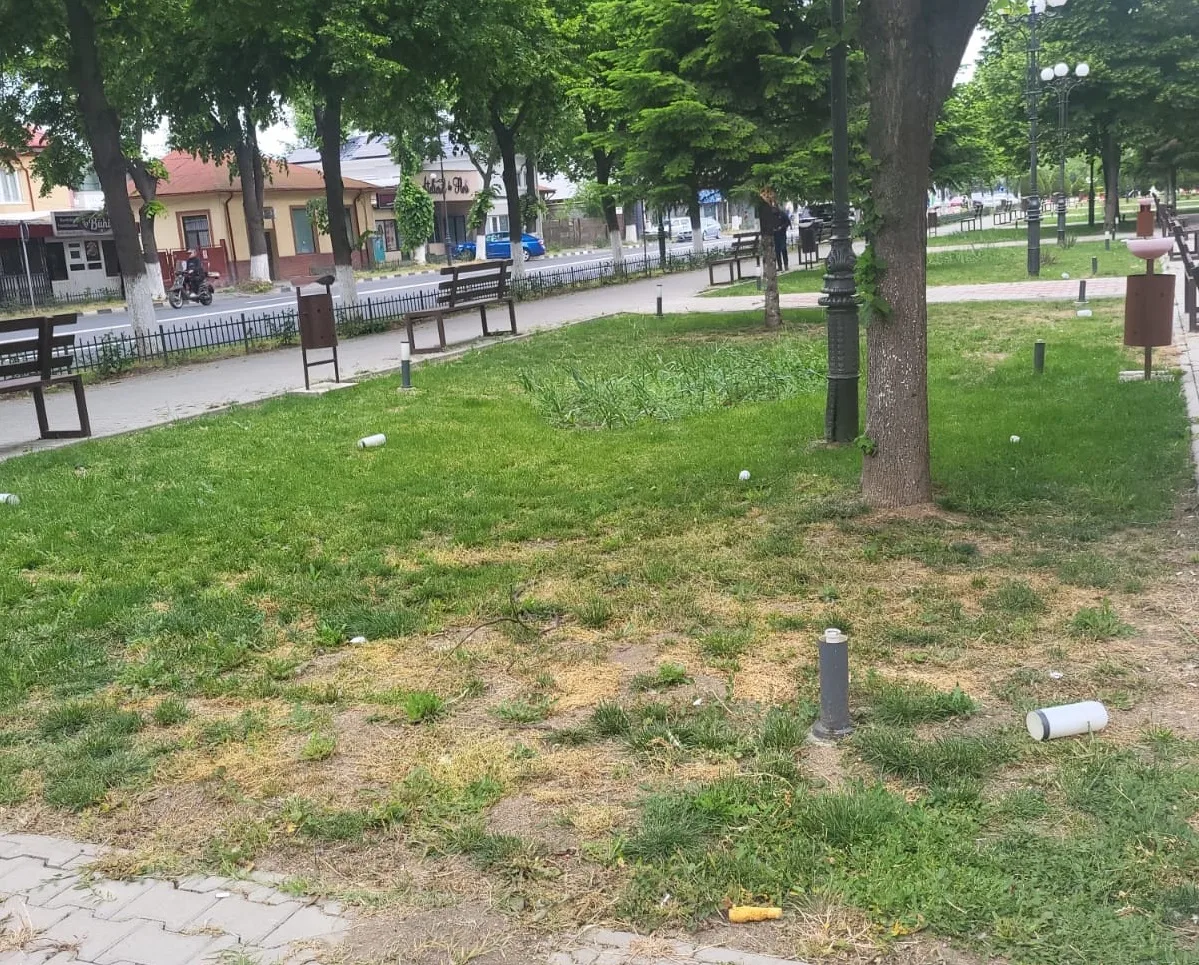 Stâlpii de iluminat ornamental au fost din nou vandalizați