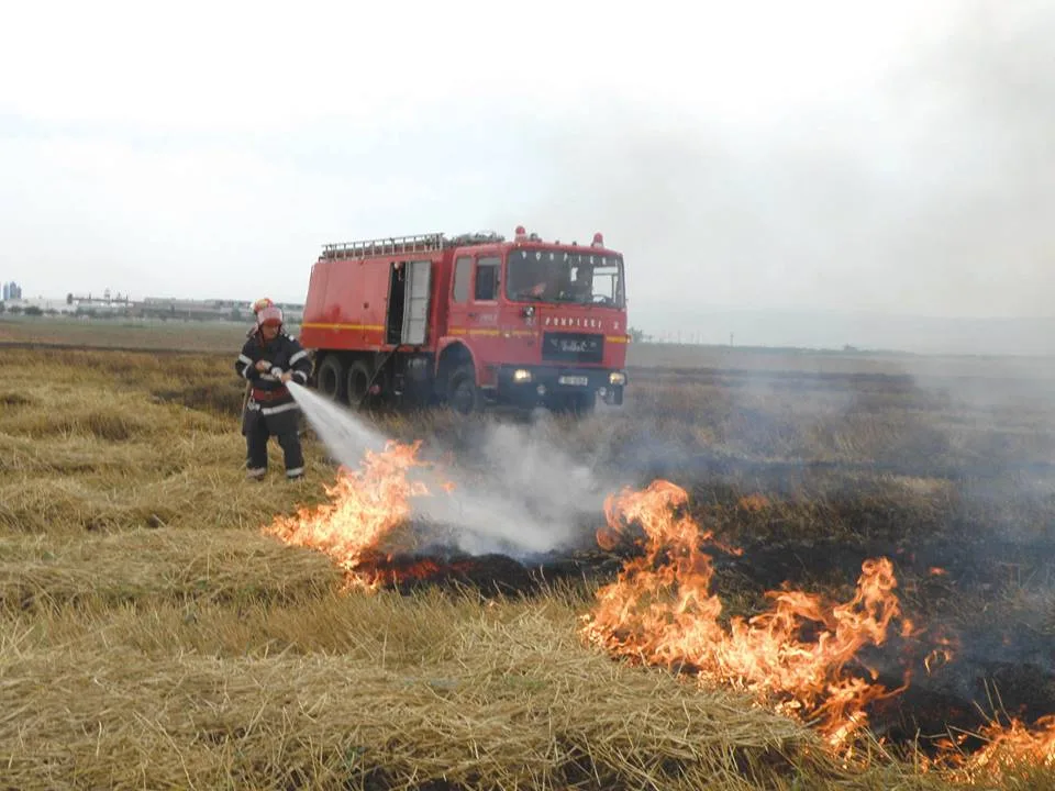 Măsuri de prevenire a incendiilor de pădure, litieră, vegetație uscată, miriști și resturi vegetale – Primaria Municipiului Sacele