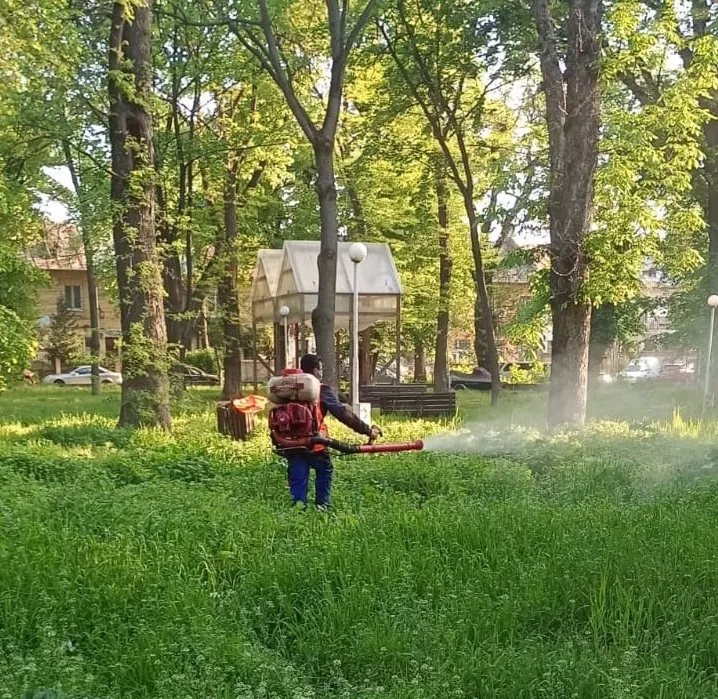A început dezinsecția terestră - Primăria Municipiului Giurgiu