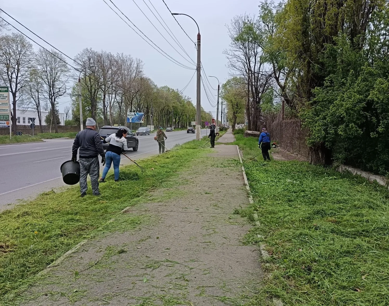 Giurgiu Servicii Locale întreprinde în această perioadă activități de toaletare